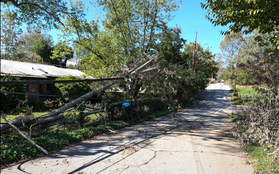 Hurricane Helene Damage